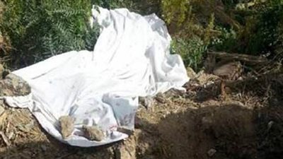 كشف لغز العثور على جثة شخص بزراعات كفر شكر 