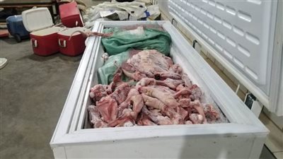 أجهزة القاهرة تضبط 3 أطنان لحوم خنازير فاسدة