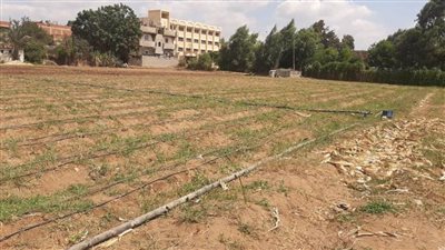 بـ2 مليون جنيه.. تمويل 136 مشروعًا لمزارعي ”المنوفية“ ضمن أنظمة الري الحديث