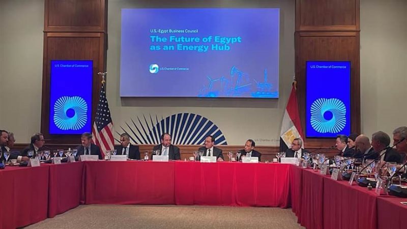 وزير البترول والثروة