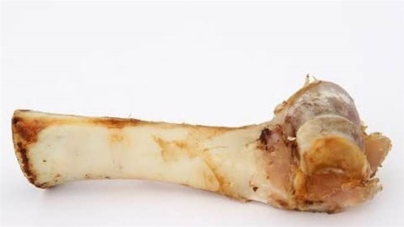 عظام الحيوانات بعد