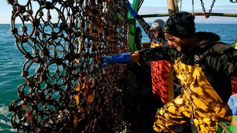 صيادون فرنسيون يرمون