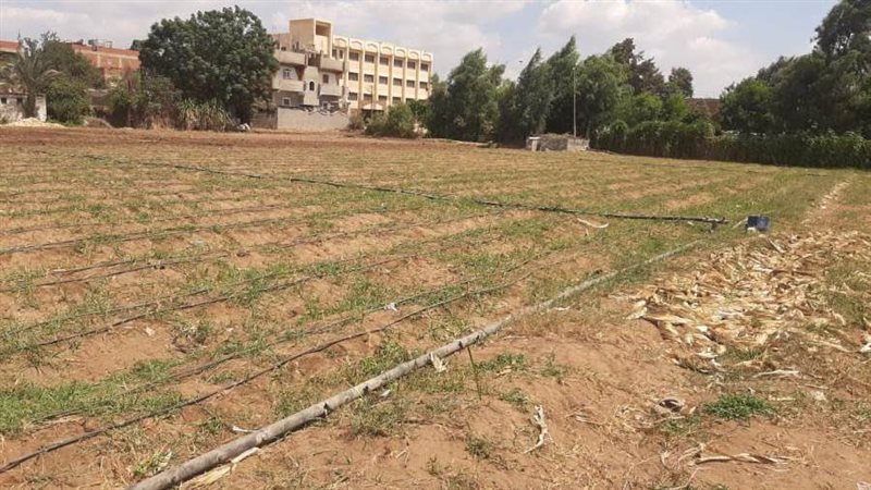 أنظمة الري الحديث