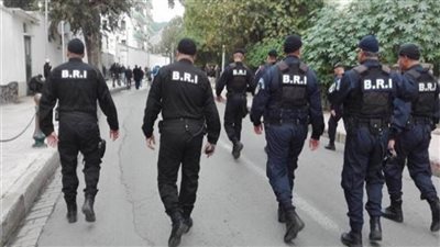 الجزائر: القبض على 14 شخصا ينشطون لحساب تنظيم 