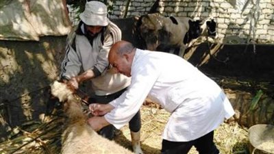  أهم إنجازات طب بيطري الإسماعيلية 2021