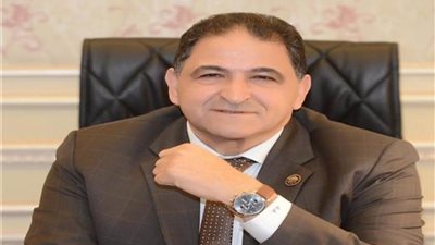 برلمانى: يشيد بوزارة الداخلية في القبض على أصحاب المكالمة المفبركة