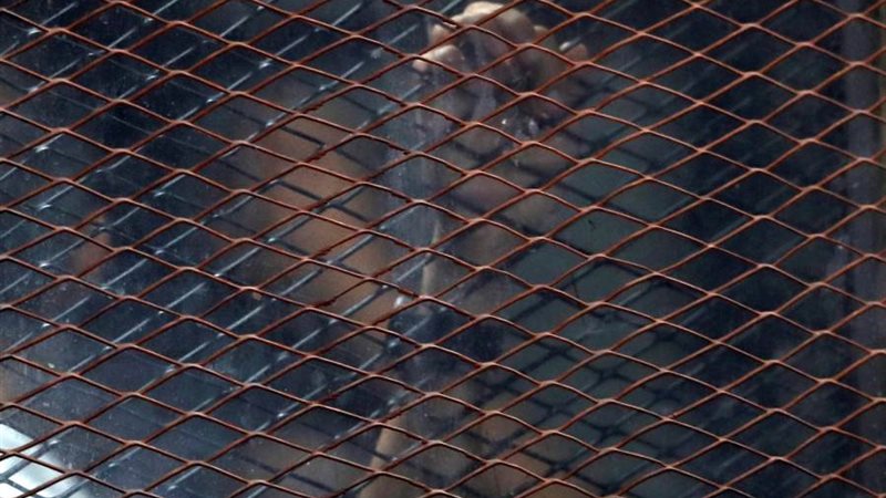 صورة موضوعية