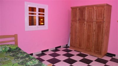 الأورمان تفرش 151 منزلًا لأهالي بالمنيا