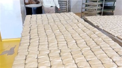 تموين المنيا.. تحرير 76 محضرًا للمحلات والمخابز