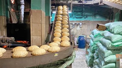 ضبط 120 شيكارة دقيق مدعم قبل تهريبها للسوق السوداء بالدقهلية