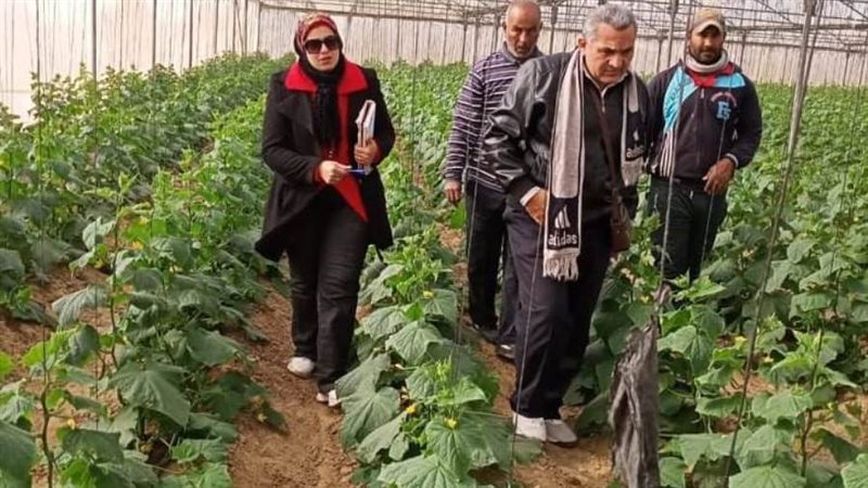 جانب من حملات التفتيش