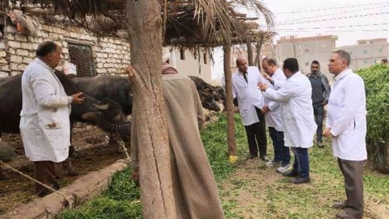 تحصين الماشية