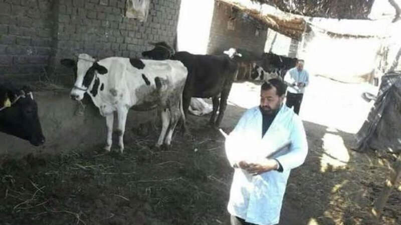 تسجيل روؤس الماشية