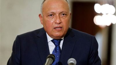 مباحثات مصرية - سعودية غدا بالقاهرة على مستوى وزيري الخارجية