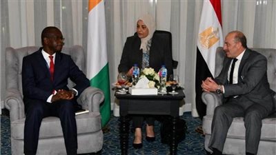 الرقابة الإدارية تبحث فرص نقل الخبرات المصرية في مكافحة الفساد إلى كوت ديفوار