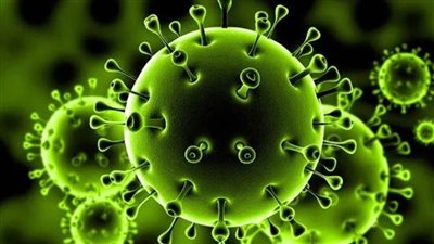 مصر تؤكد الحاجة إلى إحياء وتفعيل منظومة العمل متعدد الأطراف لتعزيز التضامن الدولي للقضاء على كورونا