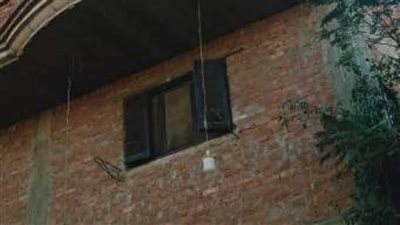 تكثيف حملات إزالة التعديات على الأراضي الزراعية بالشرقية 