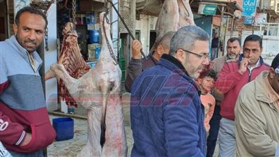 ضبط 170 كيلو لحوم بقرية مذبوحة خارج المجازر بكفر الشيخ