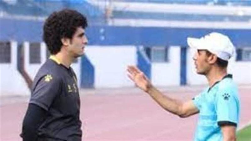 العش وطارق السيد