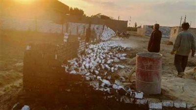 حملات مكثفة لإزالة التعديات على الأراضي الزراعية بالشرقية