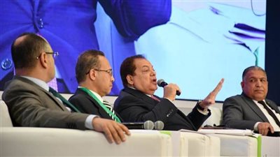 وكيل النواب يدعو إلى الاستثمارات بديلا عن القروض لدعم الطاقة الجديدة والمتجددة