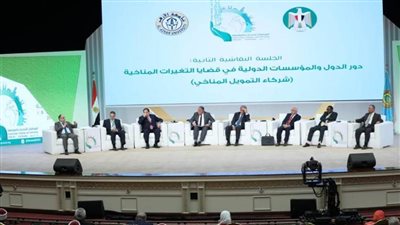 رئيس اتحاد الجامعات الإفريقية: كلمة الإمام الطيب بالمؤتمر وثيقة 