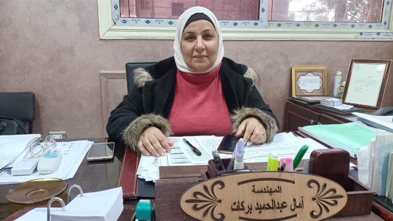 وكيل كهرباء القليوبية