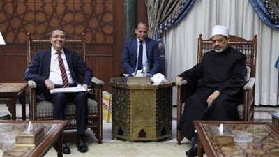 شيخ الأزهر ينتقد الدعوات الغربية لتقنين الشذوذ والتحول الجنسي في المجتمعات الشرقية