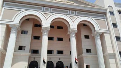  المشدد 7 سنوات للمتهمة بقتل زوجها لخلافات زوجية بالخانكة