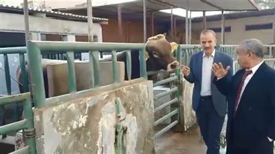 محافظ أسيوط: استمرار العمل في مشروع التحسين الوراثي لسلالات الماشية للنهوض بالثروة الحيوانية