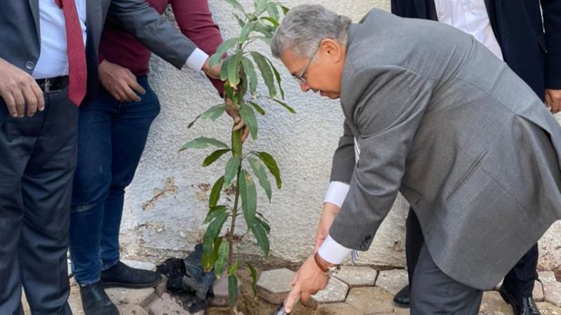 رئيس الجامعة المصرية