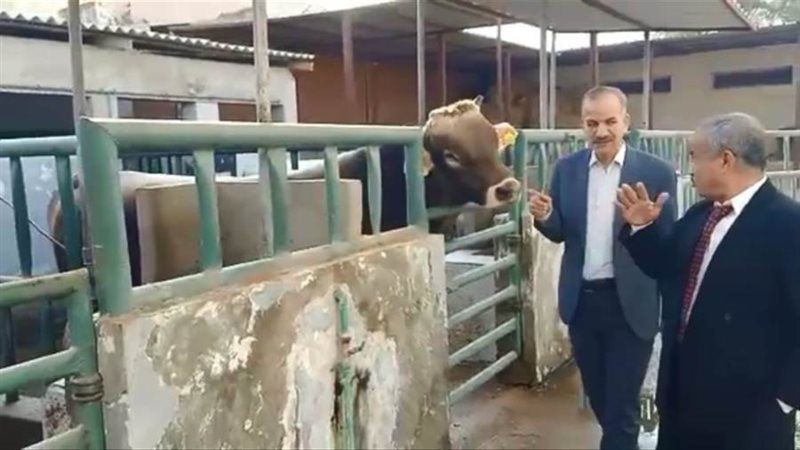 استمرار العمل في