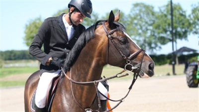 بسبب المنشطات.. إلغاء نتائج منتخب مصر للفروسية في أولمبياد طوكيو