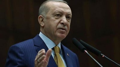 أردوغان: لا وجود لانتخابات مبكرة في البلاد