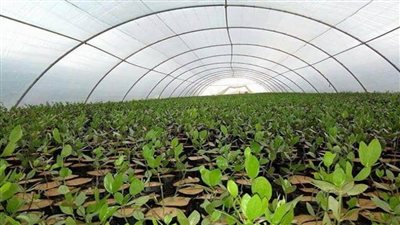 تعرف على أبرز المشروعات التنموية الكبرى في الصعيد