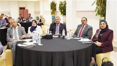 جامعة بنها تشارك بورشة عمل للتعريف بجائزة مصر للتميز الحكومي