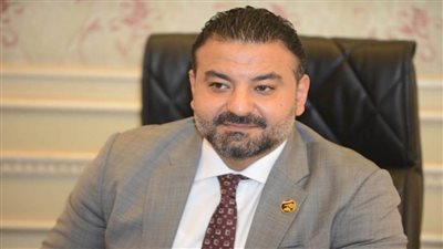 برلماني: أين منظمات التقارير المعلبة من التنمية الشاملة بمحافظات الصعيد؟