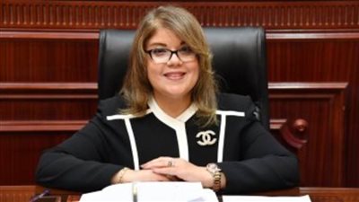 وكيل الشيوخ: صعيد مصر بدأ طريق التنمية الشاملة وبات جاذبا للاستثمارات