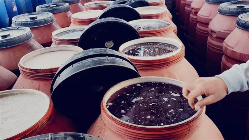 ضبط ١٨ طن مخللات