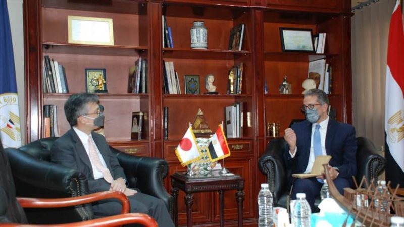 الدكتور خالد العناني