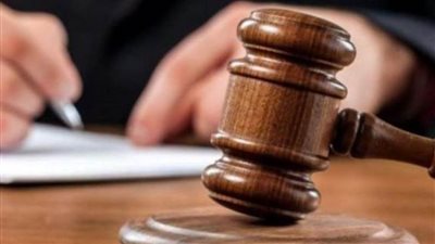 دفاع المتهمين بالتعدي على رئيس حي عين شمس يتقدم باستئناف على حكم حبسهم 