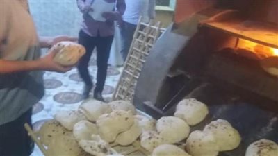 تموين المنيا يحرر 66 مخالفة متنوعة خلال حملات رقابية