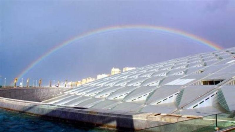 جانب من الندوة