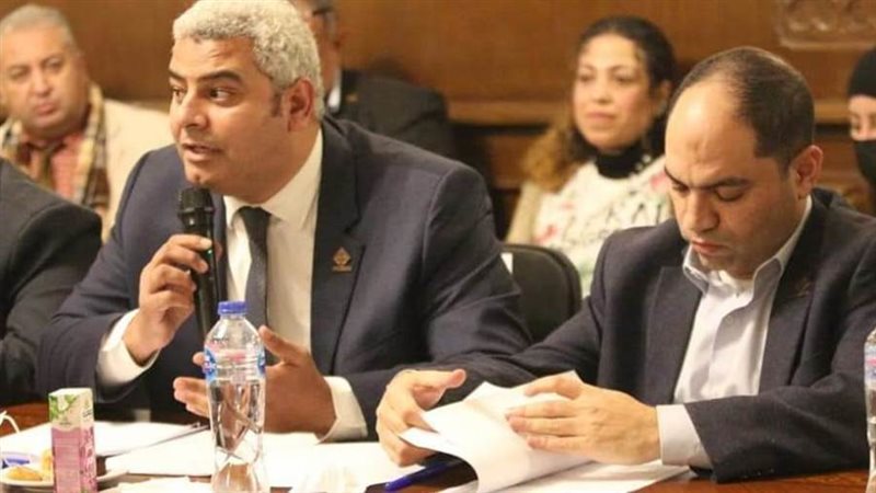 نواب تنسيقية شباب