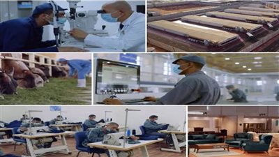 بالأرقام والمؤشرات الدولية.. 