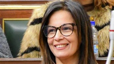 النائبة جيهان زكي تنتقد 