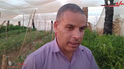 عايزينها تبقي خضرا مشروعات زراعية غير تقليدية واكتفاء ذاتي لشباب الوادى الجديد