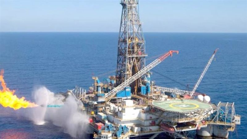 حقل ظهر - صورة ارشيفية