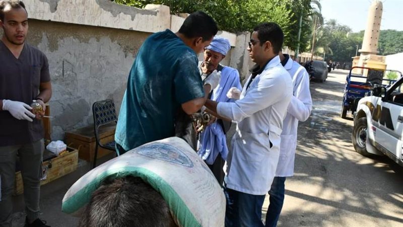 من جانب الحمله