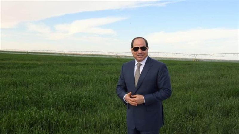 الرئيس عبد الفتاح